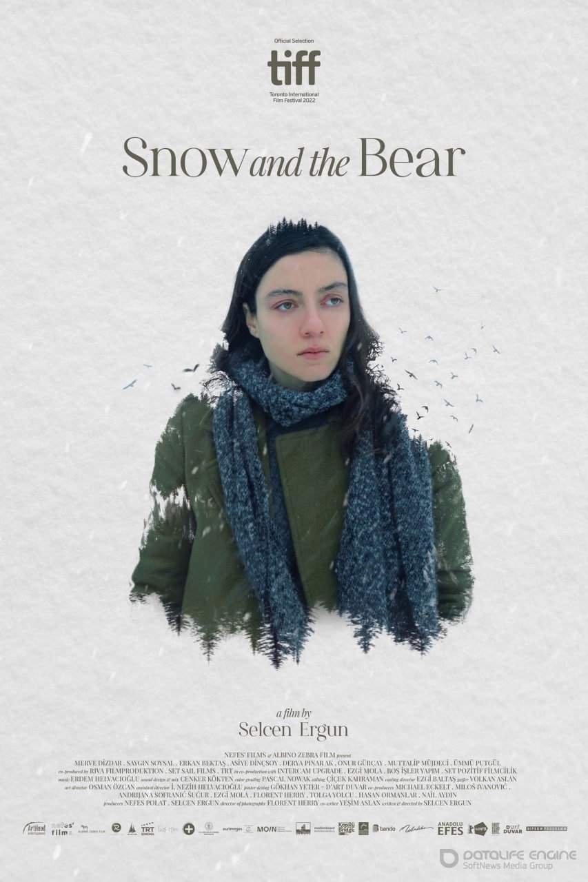 Постер к фильму "Снег и медведь"
