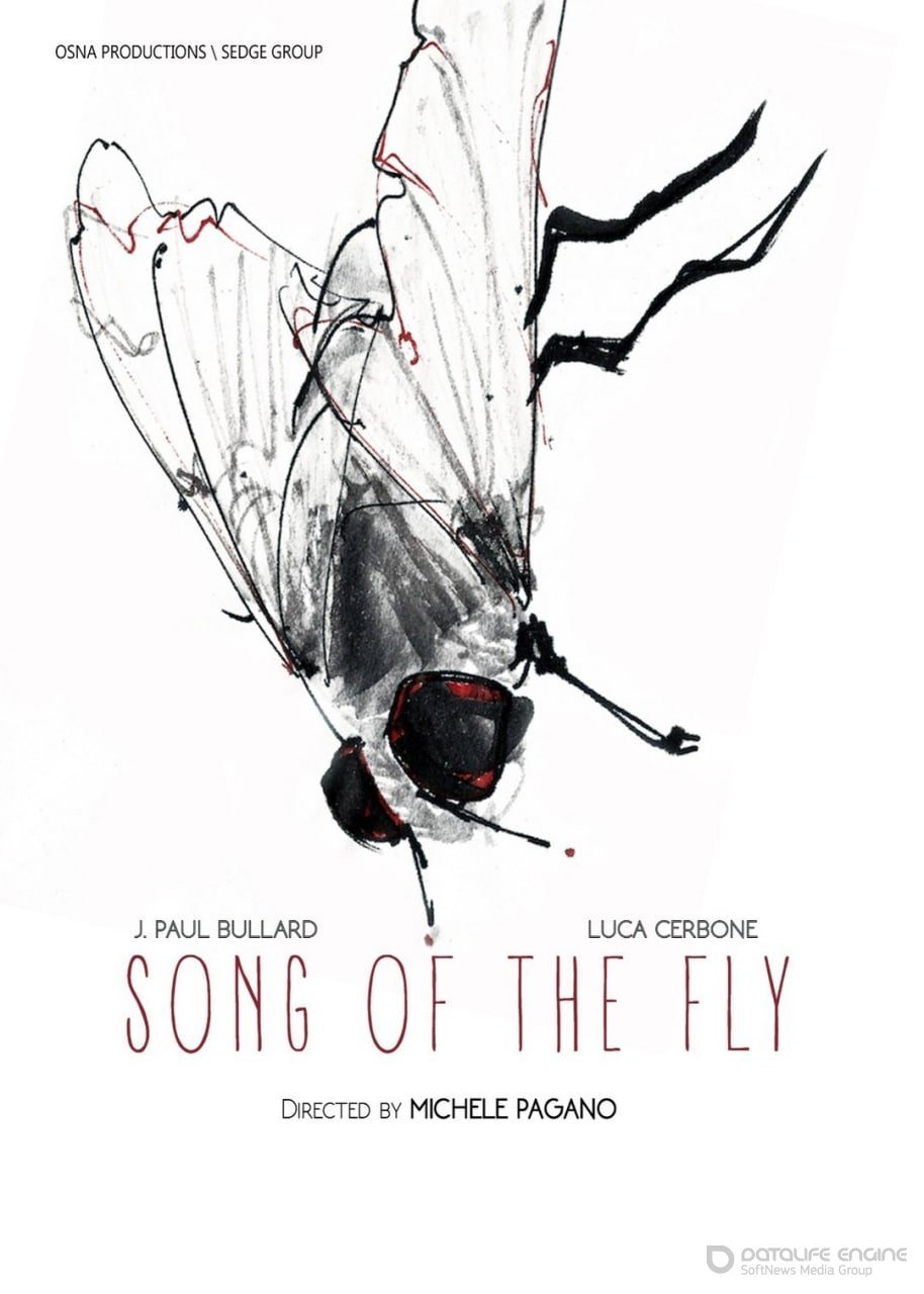 Постер к фильму "Песня мухи"
