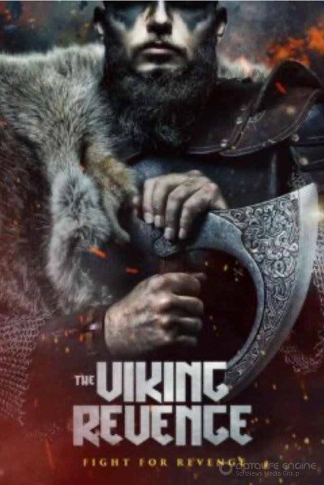 Постер к фильму "Месть викинга"